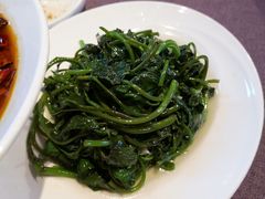 -见山书院