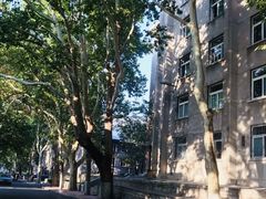 -山东师范大学(千佛山校区)