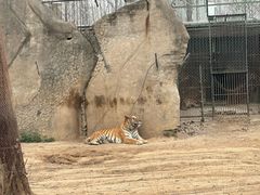 -秦皇岛野生动物园