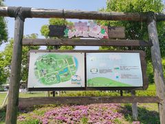 -田园东方蜜桃村的田野营地