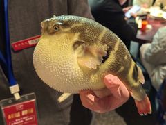 -永安鱼庄·镇江菜(东吴路店)