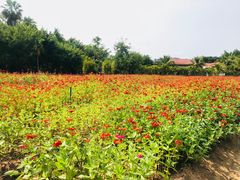 -三亚珠江南田温泉度假区