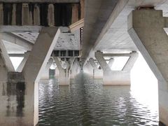 -松山湖南湖湾露营营地
