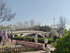 -赵州桥景区