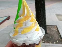 -Salud撒露欧洲冻酸奶(798艺术区店)