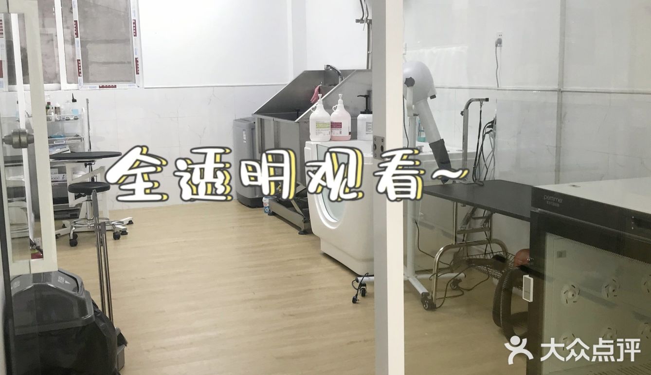 崽崽菲尔顿宠物药店洗澡记[加油]