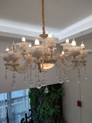 -苗医生草本科技祛痘