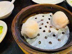 添运来虾饺皇-添运来(茶园奥园广场店)