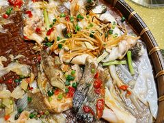 -顺轩海鲜火锅酒家