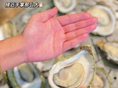 -飞尝蚝·顺德菜·鱼生(顺德总店)