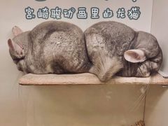 -龙猫仔乐园(惠福东路店)