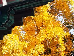 -北京石刻艺术博物馆(五塔寺)