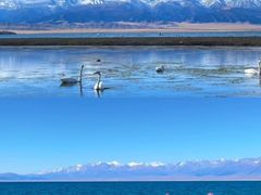 -赛里木湖风景名胜区