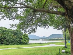 -风云岭森林公园