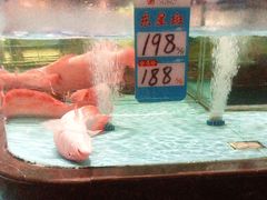 -阿伟海鲜楼·福建菜(延寿店)