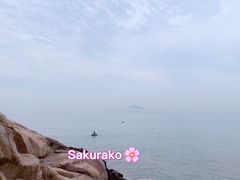 -桃花岛风景旅游区