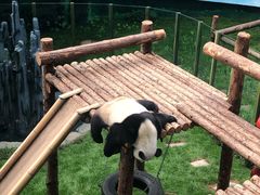 -大连森林动物园