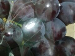 -百果园PAGODA(西四地铁站店)