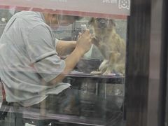 -宠物家(大兴旧宫店)