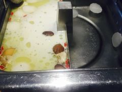 -海底捞火锅(连城广场店)