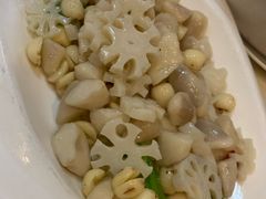 -丁老爷子苏香圆