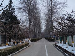 -康庄公园