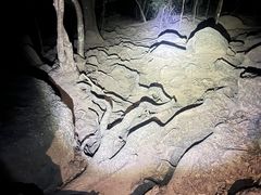 -火炉山森林公园