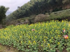 -宁波浙东大竹海景区