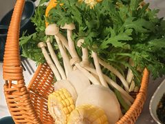 -椰子湾·海南火锅·糟粕醋·椰子鸡(正大广场店)