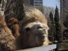 -长白岛森林公园