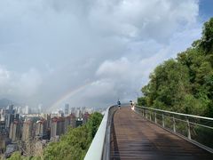 -板樟山森林公园