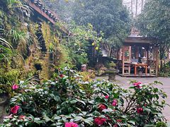 景观位-青城甲(青城山店)