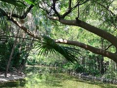 -人民公园(罗湖区)