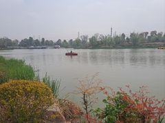 -九科绿洲