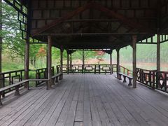-微山湖红荷湿地景区