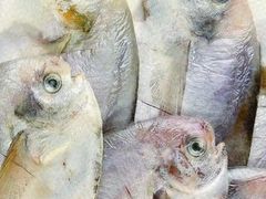 鲳鱼-肥猫烧烤居(蓝湖绿城店)