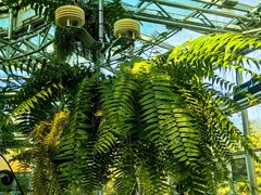 -国家植物园南园