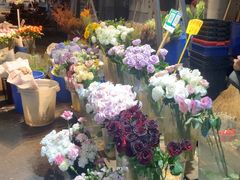 -循礼门鲜花花市(武汉循礼门店)