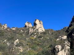 -大岭沟猕猴桃谷风景区