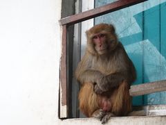 -丽江泸沽湖景区