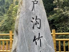 -芦沟竹海