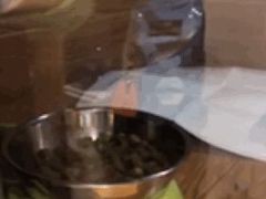 -八公叔叔宠物美容连锁(春申店)