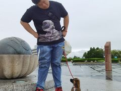 -南汇嘴观海公园