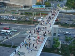 世纪大道天桥-陆家嘴空中步行连廊