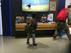 -Sony Store 索尼(上海淮海中路店)