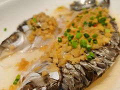 -新成海港大酒楼(康华路店)