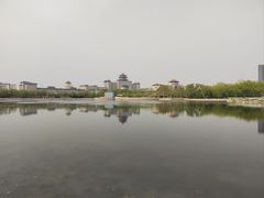 -莲花池公园