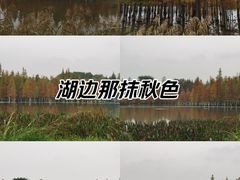 -白鹭湾湿地公园