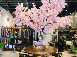 -简影造型·自选烫染接发salon