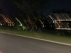 -羊山湖公园